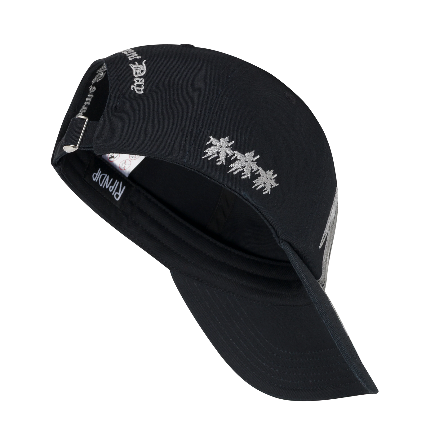 Different Day Dad Hat