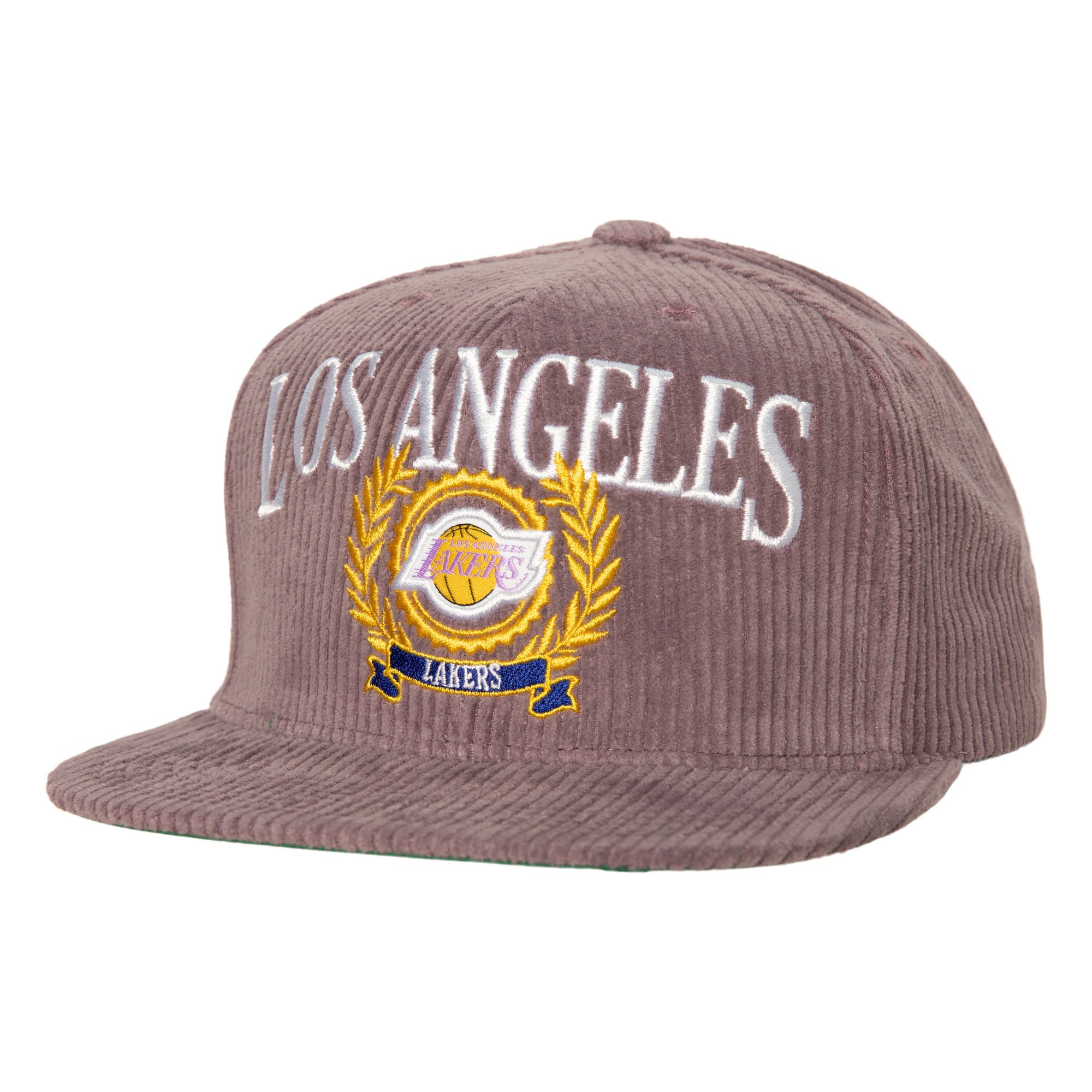 NBA Levelz Snapback HWC Lakers