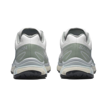 XT-6 GORE-TEX "White | Green Milieu | Ice Flow"