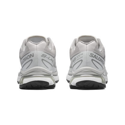 XT-6 "Lunar Rock | Ftw Silver | White"