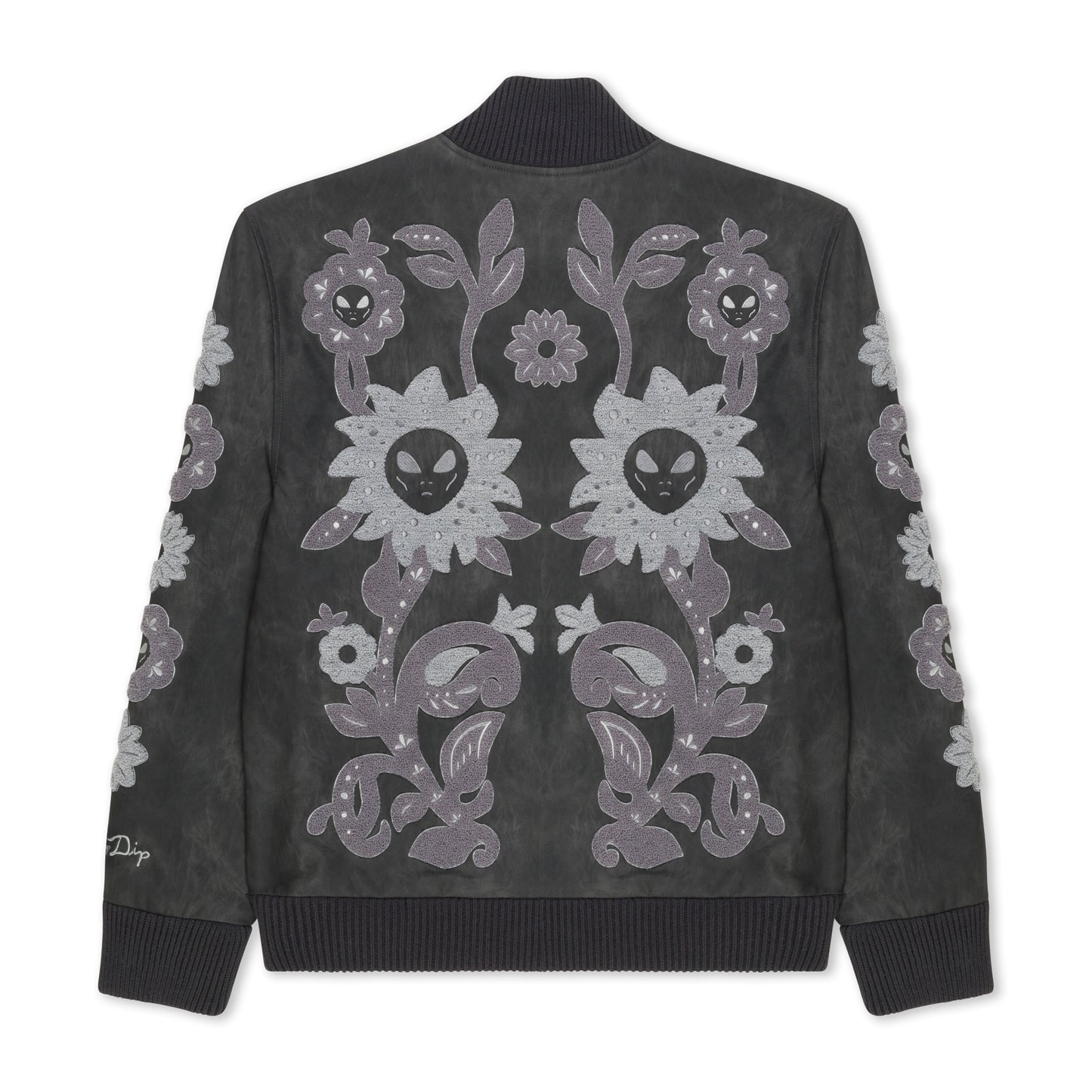 Space Garden Varsity Jacket