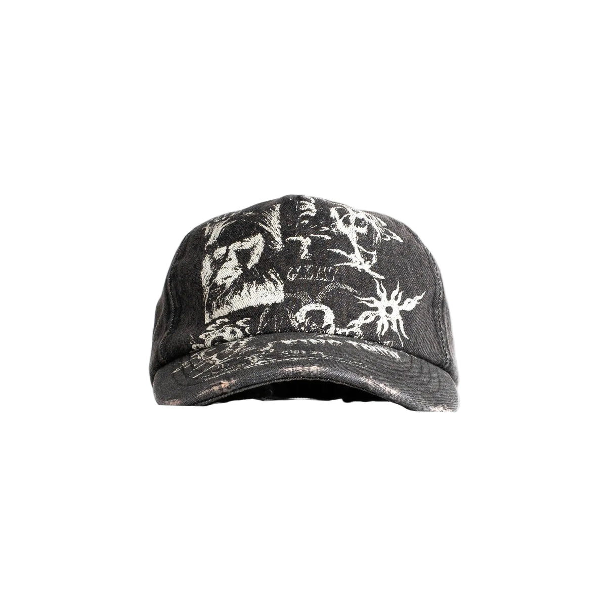 Find Truth Distressed Cap