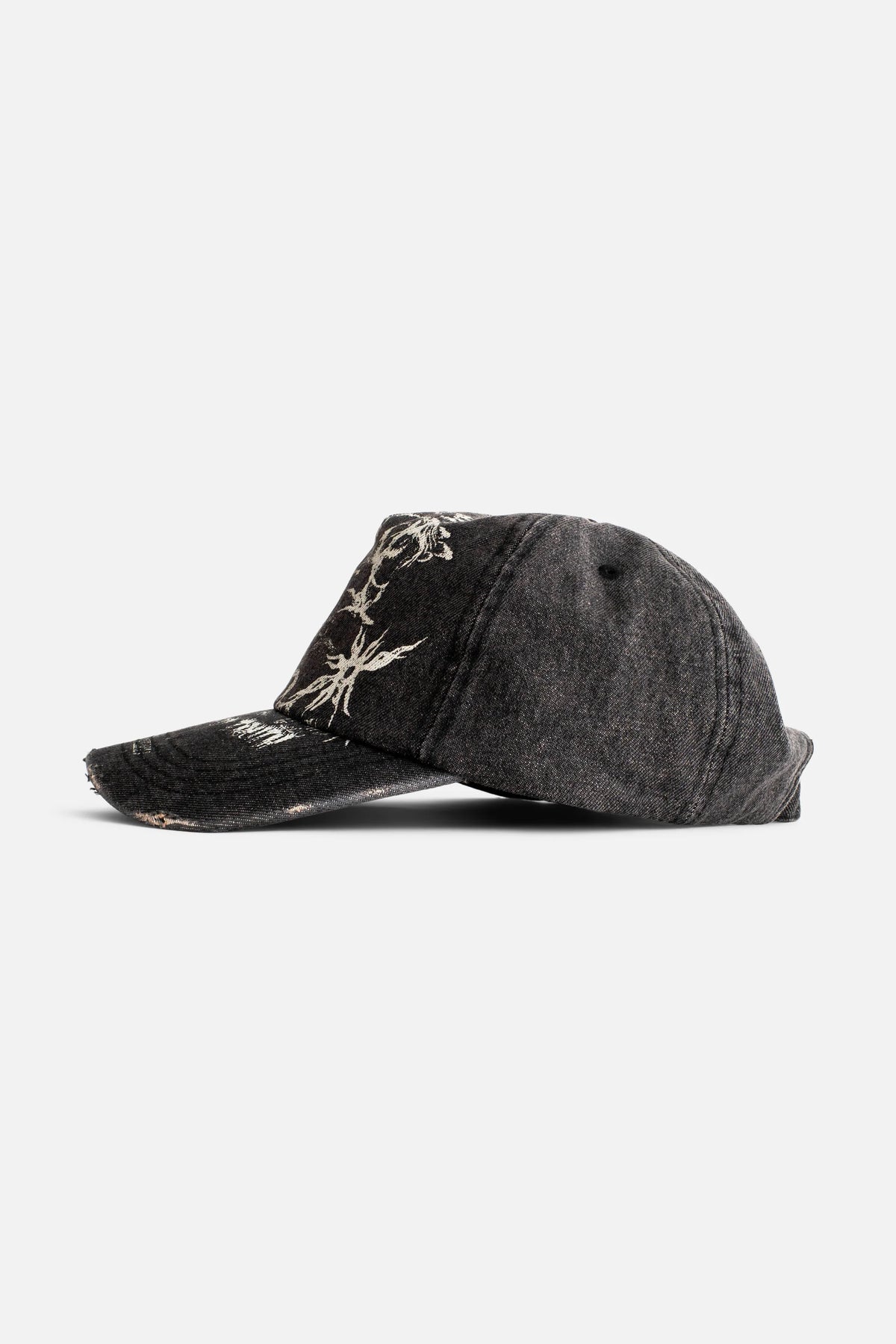 Find Truth Distressed Cap