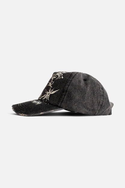 Find Truth Distressed Cap