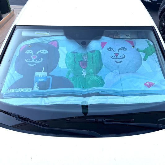Real Photo Car Shade